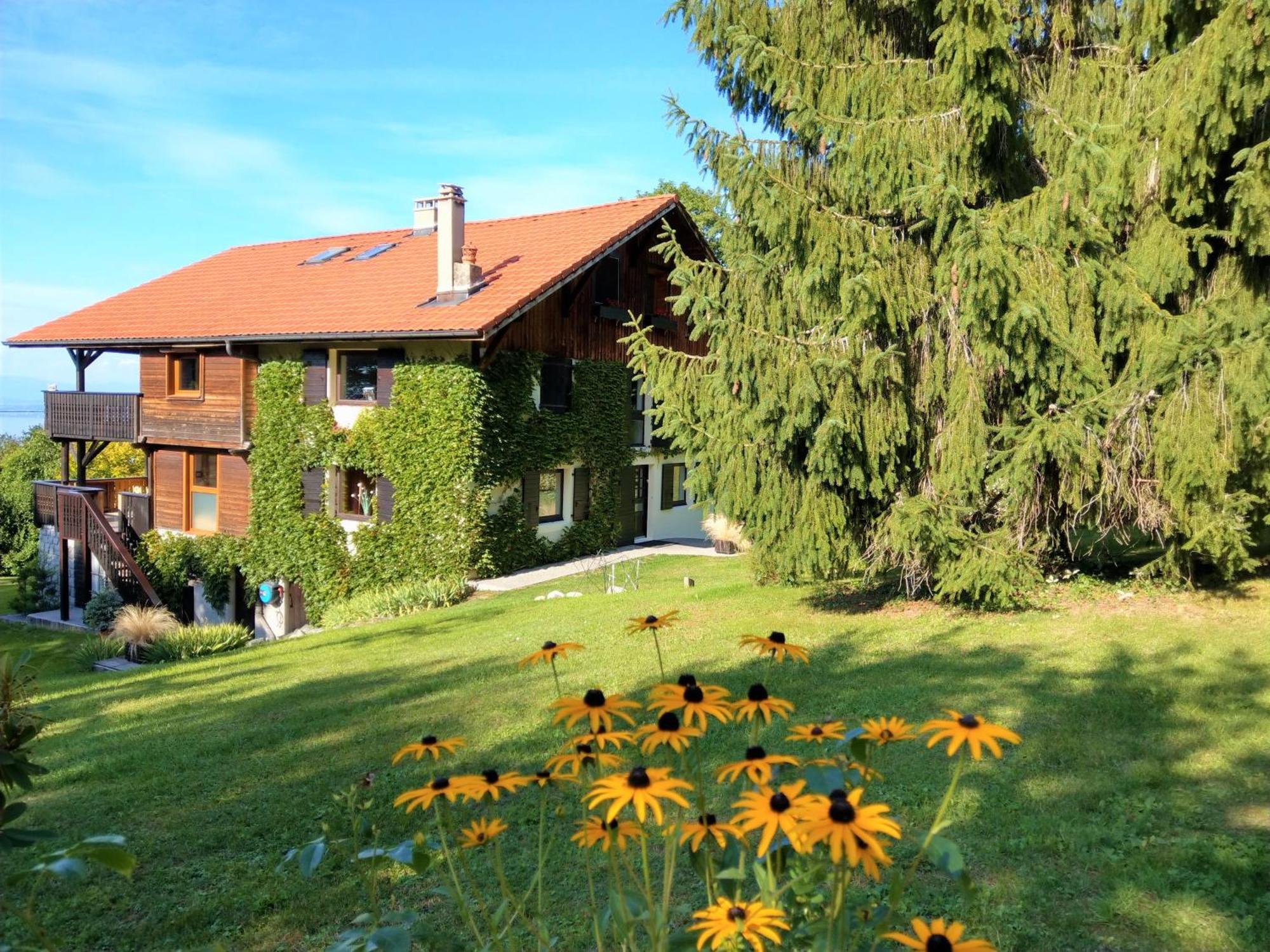 Bed and Breakfast Domaine De L'Olifant Champanges Esterno foto
